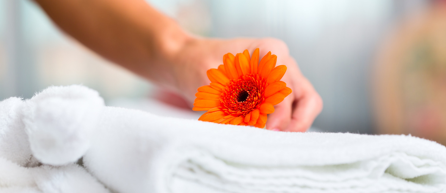 Cleanliness Is Paramount At The Palomar Inn